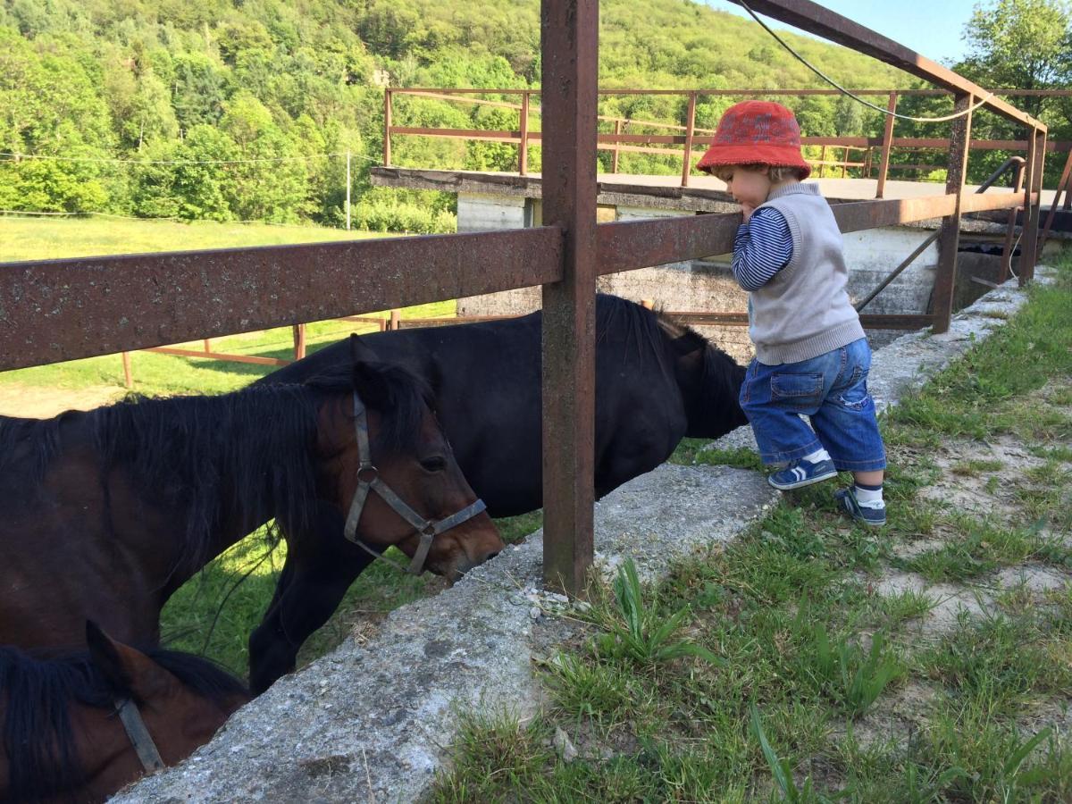 Bed and Breakfast Favetto Family Ranch Rueglio Exterior foto